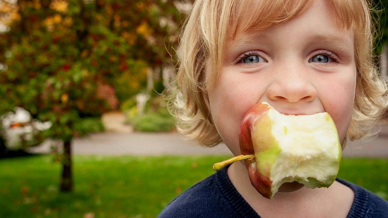What to Eat by Age - RaillyNews