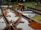 Germany's Railways Regain Momentum - RaillyNews