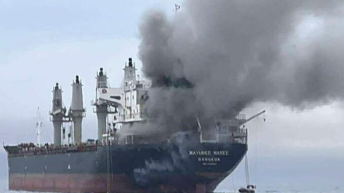 India's Two Ships Safely Pass Through Strait of Hormuz - RaillyNews