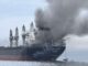 India's Two Ships Safely Pass Through Strait of Hormuz - RaillyNews