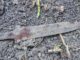 Iron from the Sky in the Bronze Age - RaillyNews