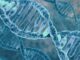 Mart Scientific Developments - RaillyNews