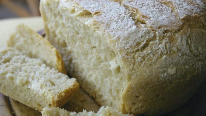 Is Bread an Alternative to Fossil Fuels? - RaillyNews