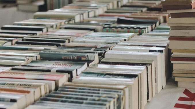 Universal Grammar Detected in Thousands of Languages - RaillyNews