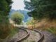 Alstom's Smart Systems for Railway Wildlife Protection - RaillyNews