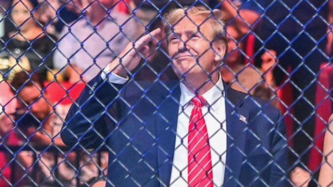 White House: No Politics, Only Fists - RaillyNews