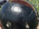 World's Most Expensive Watermelon: Densuke - RaillyNews