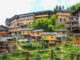 China's East-West Cooperation Creates 5 Million Rural Jobs - RaillyNews