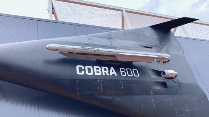 German UAVs to Integrate Air-to-Air Missiles - RaillyNews