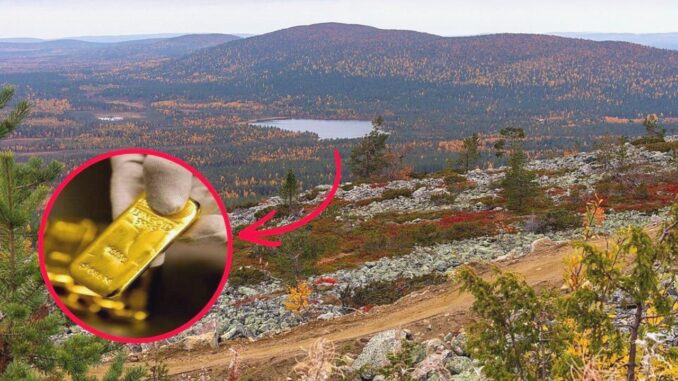 Gold Hunt Begins in Finland: €20K Treasure in Levi Forest - RaillyNews