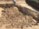 Neolithic Skeletals Discovered in Slovakia - RaillyNews