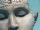 Study: High Estrogen Reduces Trauma Resilience - RaillyNews