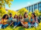 Free AI Subscription from Google: Special Application Opportunity for University Students - RaillyNews