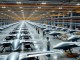 Greece's UAV Production Goal to Reach 15,000 Annually - RaillyNews