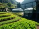 Transforming Abandoned Coal Mines in China into Agricultural Laboratories - RaillyNews