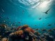 Pacific Ocean Warming: Reversing the Marine Life Cycle - RaillyNews